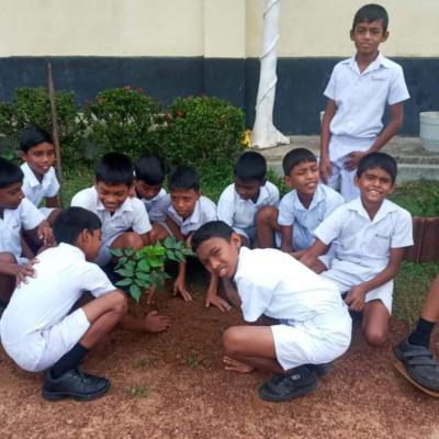 Whatsapp Image 2024 07 10 At 8.51.36 Am