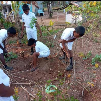 Whatsapp Image 2024 07 10 At 9.25.20 Am