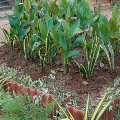 Fb Img 1722336749799