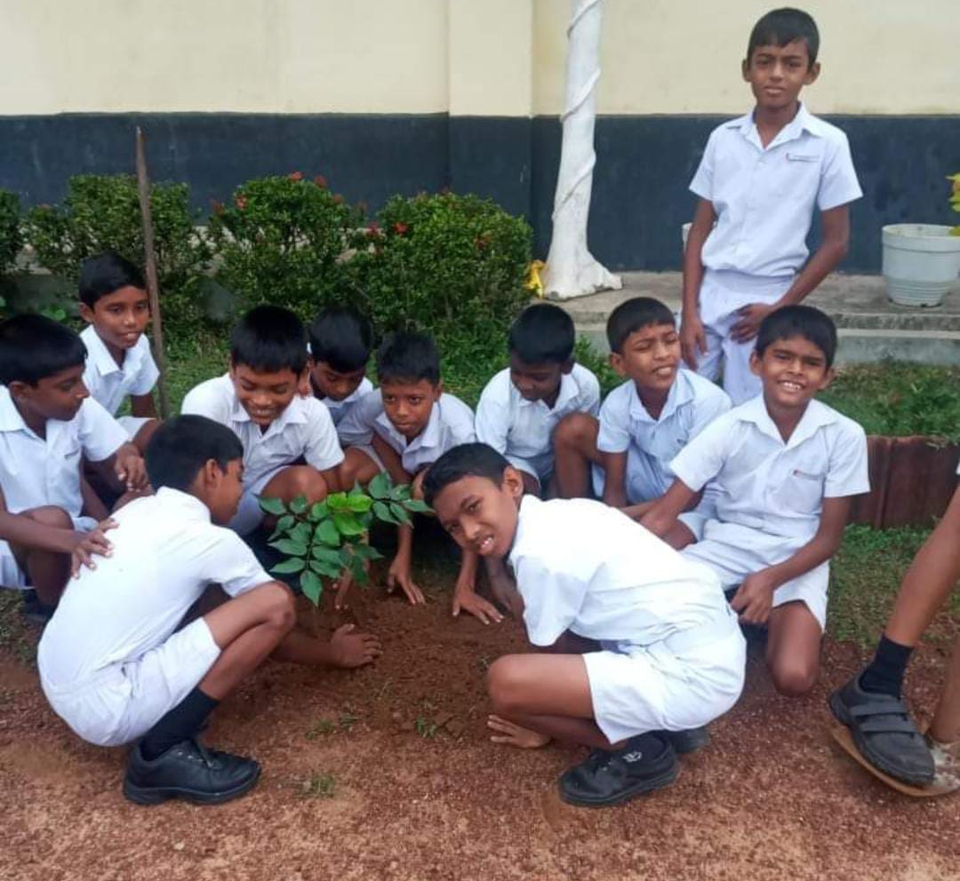 පරිසර නියමු